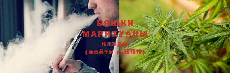 Шишки марихуана SATIVA & INDICA  где найти наркотики  Бузулук 